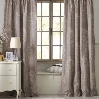 Ash curtains on the living room window